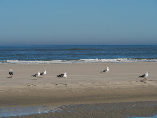 Die Nordseeinsel  Langeoog