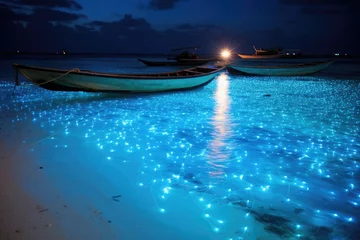 Foto auf Acrylglas Zanzibar Fishing boats on the beach at night, Zanzibar, Bio luminescence. Night beach scene in Maldives with bio luminescent plankton illuminating the waterline, AI Generated