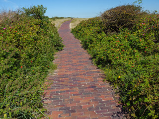 Sommer am Strand von Langeoog