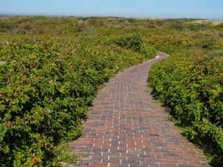 Die Nordseeinsel  Langeoog