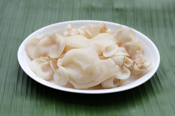 White jelly mushroom or white ear mushroom