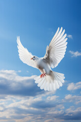 Fototapeta premium White dove soaring in serene blue skies background with empty space for text 