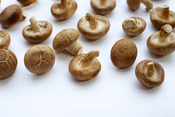 Fresh shiitake mushrooms on white background.