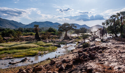 Fototapeta na wymiar Baobab tree by the water with mountains in the background, Namibia, Africa