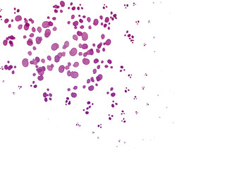 Light Purple vector background with bent lines.