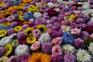 The colorful beautiful flowers on the water pond in the church in Sapporo Japan