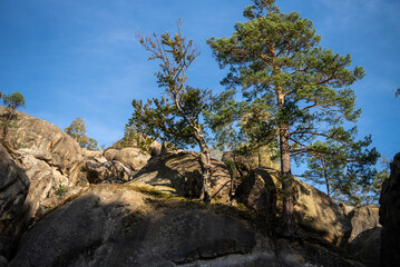 Rocks in the mountains. Blue sky and trees. Nature park