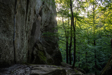 Rocks in the mountains. Blue sky and trees. Nature park