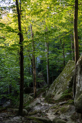  rock formation is an isolated, scenic, or spectacular surface rock outcrop. Rock formations are usually the result of weathering and erosion sculpting the existing rock