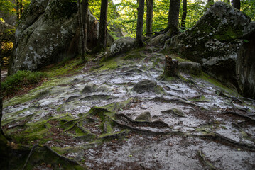  rock formation is an isolated, scenic, or spectacular surface rock outcrop. Rock formations are usually the result of weathering and erosion sculpting the existing rock