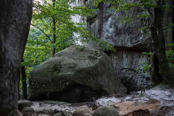 Fototapeta premium Rocks in the mountains. Blue sky and trees. Nature park