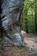Rocks in the mountains. Blue sky and trees. Nature park