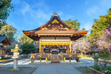 Naklejka premium Kyoto, Japan - March 29 2023: Hirano-jinja is the site of a cherry blossom festival annually since 985 during the reign of Emperor Kazan, and it has become the oldest regularly held festival in Kyoto