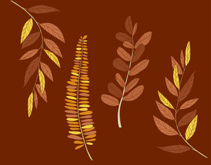 Autumn leaves vector illustration.