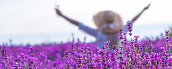 girl in lavender field. Selective focus