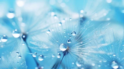 Rolgordijnen Beautiful dew drops on a dandelion seed macro. © Ashley