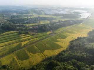 Fototapeta na wymiar view of country field