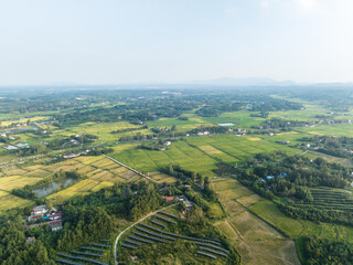 Fototapeta premium view of country field