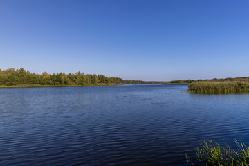a wide river in sunny weather in early autumn