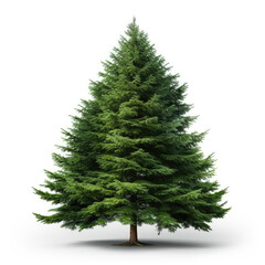 Obraz premium Christmas pine tree isolated on a white background