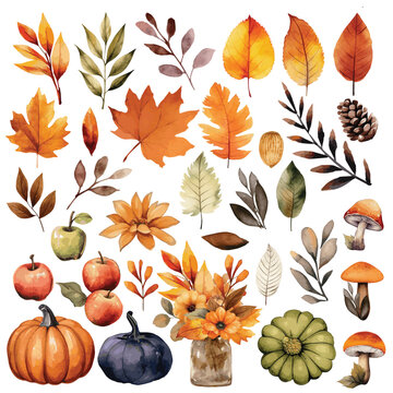 Big AUTUMN watercolor set -wood leaves, nature elements, herbs, leaf, mushrooms, pumpkins. Painted in watercolor on a white isolated background. Floral illustrations for logo, wedding, invitation