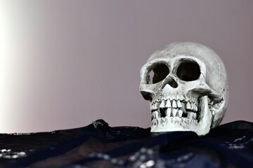 Fototapeta premium Gruseliger Totenschädel, Totenkopf, menschlicher Schädel auf einem schwarzen Tuch. Dekoration für Halloween und Symbol für den Tod 