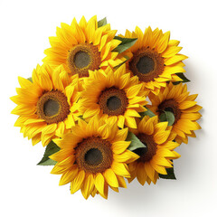 Fototapeta premium Fresh sunflower isolated on a white background.