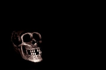 Menschlicher Schädel vor schwarzem Hintergrund, ein Totenkopf eines Skelettes als Symbol für Tod...