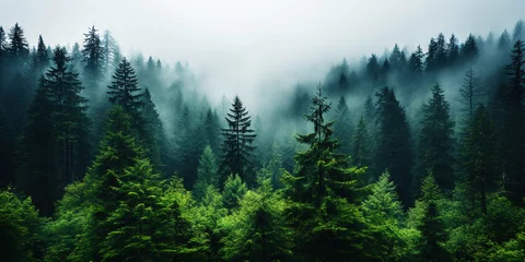 Fotobehang Mistige ochtendstond Misty mountain landscape with fir forest in vintage retro style. Generative AI