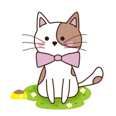 cat cute