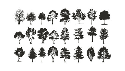 silhuette of trees on transparent background