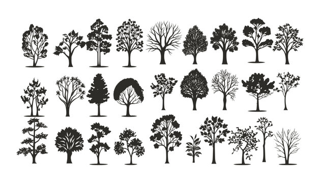 silhuette of trees on transparent background