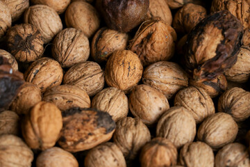 Heap of unprocessed wallnuts in shell from low angle. Dirty wallnuts collected from a tree. Dimishing perspective.