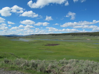 Beautiful field landscape in Yellowstone National Park, Wyoming