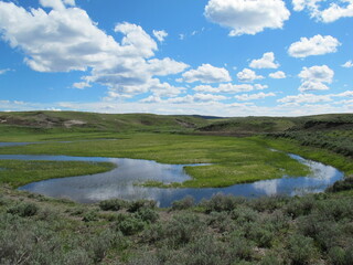 Fototapeta premium Beautiful field landscape in Yellowstone National Park, Wyoming