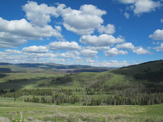 Fototapeta na wymiar Beautiful landscape in Yellowstone National Park, Wyoming