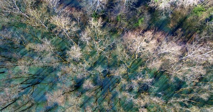 Aerial footage of flooded floodplain in Lonjsko polje in early spring, Croatia