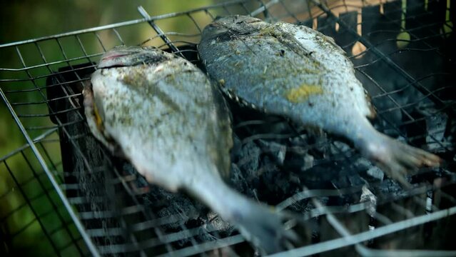 Fried sea bream fresh fish on grill . Grilled dorado seasoned with spices