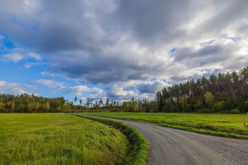 Beautiful view of dirt road running along agricultural fields and forests on autumn day on backdrop of blue sky with white clouds. Sweden.