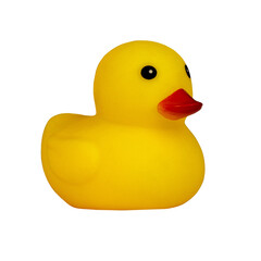 yellow rubber duck