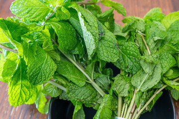 Fresh organic Bunches of mint leaves