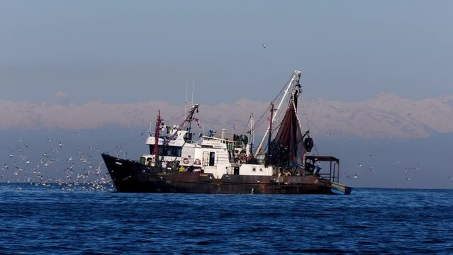 Fishing boat surrounded by seagulls, Black Sea. Mountains in the background.