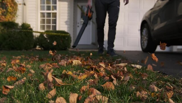 Man blowing leaves in yard in autumn season. Slow motion footage