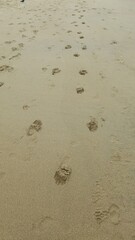 Photography, texture of sand, beach. Footprints in the sand, a seaside resort, an island. You can use