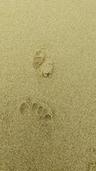 Photography, texture of sand, beach. Footprints in the sand, a seaside resort, an island. You can use