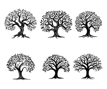 vector vintage trees silhouettes set