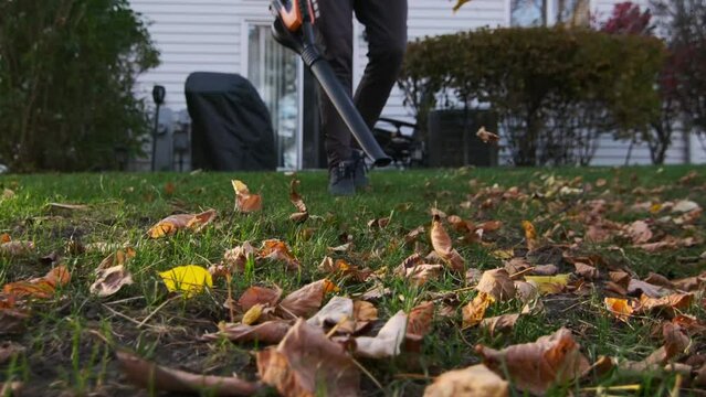 Man blowing leaves in yard in autumn season. Slow motion