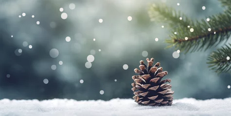 Foto auf Alu-Dibond christmas tree lighted in a natural winter landscape with a pine cone, christmas tree light © Sabina Gahramanova