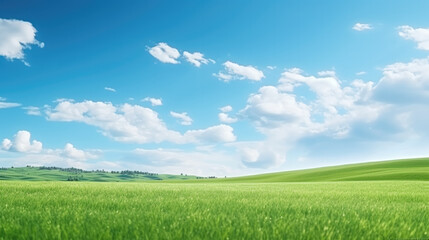 Fototapeta na wymiar Beautiful natural scenic panorama green field of cut grass into and blue sky with clouds on horizon.