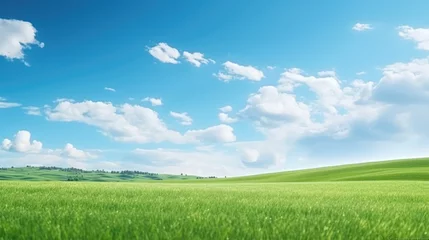 Fotobehang Beautiful natural scenic panorama green field of cut grass into and blue sky with clouds on horizon. © Oulailux